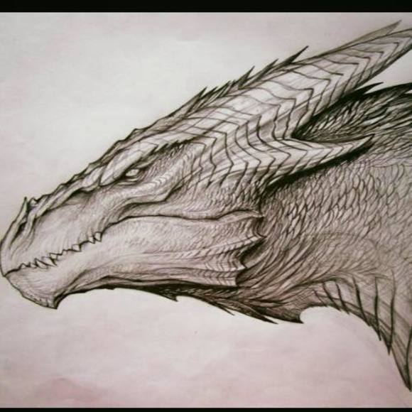 Meet your Posher, Ezekiel - Picture 1 of 1